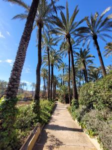 Apartment Cabrio - Santa Pola