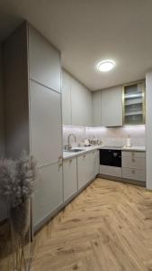BoleslaviaApartments - Apartament Home, air condition, parking free