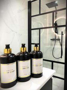 Appart Mezzanine, Centre-ville