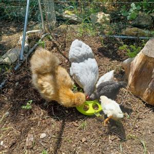 chambre dans ferme provençale