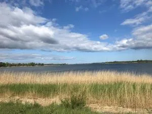 Strandgut Wackerballig - Wackerballig