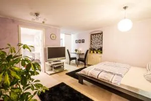 Idyllische Ferienwohnung am Pillnitzer Schlosspark - 皮尔尼茨