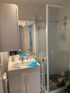 Appartements Beautiful F3, sea view, panoramic : photos des chambres