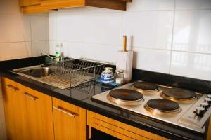 HOM I Studio en Valle Nevado Valle Condores 1