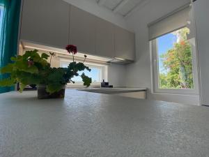 Aegean Bliss - Stylish Stay in Agios Stefanos