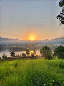 Nirved Retreat Resort - A Backwater Forest Peaceful Stay in Bhor, Pune