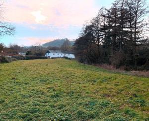Little Buckley A peaceful family & dog-friendly retreat near Sidmouth