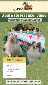 Pousada Serra das Araucárias PetFriendly - CÃOFÉ da manhã Pet