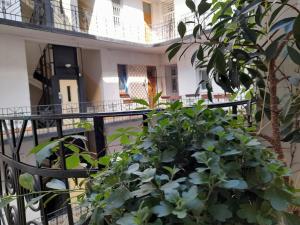 Danube river view close to Parlament