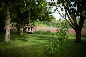 Maisons de vacances Le Chat Blanc Gite : photos des chambres