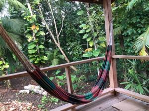 Stunning Jungle Refuge Close to Town