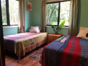 Stunning Jungle Refuge Close to Town