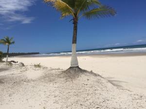 Beach Hause, Paradise in front of the Sea, Ilhéus