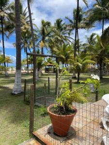 Beach Hause, Paradise in front of the Sea, Ilhéus
