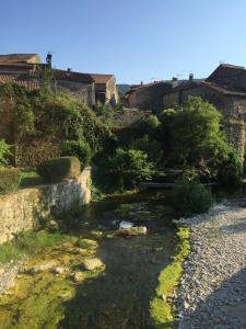 Maisons de vacances Le Chat Blanc Gite : photos des chambres
