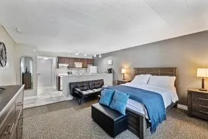 Chic New York Studio with Kitchen - 新帕尔茨