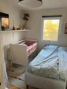 House with lovely garden and close to water with Shelter