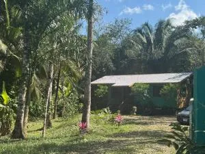 Stunning Jungle Refuge Close to Town - Bullet Tree Falls