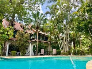 Hotel El Manglar - 阿维拉纳海滩