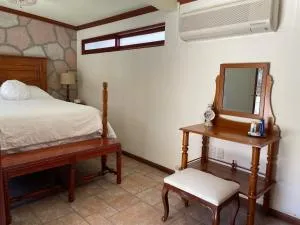 Casa del León - Asunción Nochixtlán