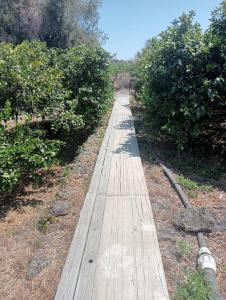 La dimora sullo jonio