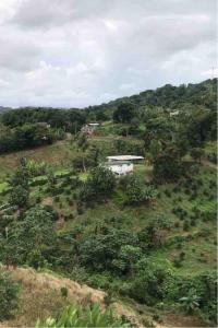 Hacienda Rolón