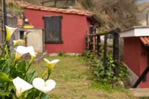 Apartamentos Aires Del Aramo