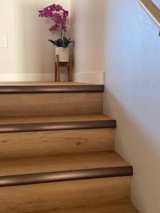 DWELL in Alaska Apartment b