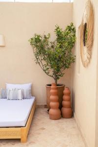 Riad À lombre des Orangers