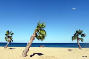 Maisons de vacances Maisonnette a 150m de la plage, climatisee, 6 couchages : photos des chambres