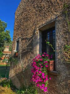 Agriturismo Casteddu img23