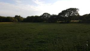 Spacious Apartment On The Hillside