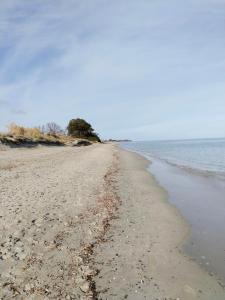 Appartement avec jardin piscine et plage 100 m