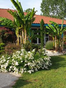 Villages vacances Nid Douillet : Mobile Home