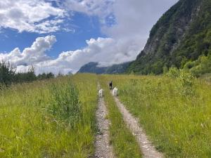 Maisons de vacances Chalet L Etend d Art, Explore Oisans : photos des chambres