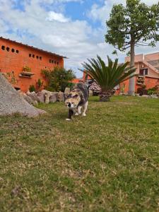 B&B Domu Delunas img20