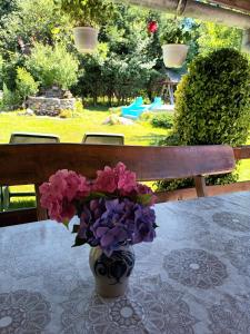 Casa BRA Viștișoara