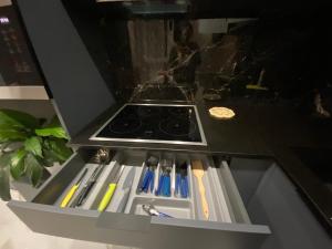 Rent-Kiev metro Chernigivska ViP