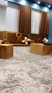 ترفيهية وفخامه