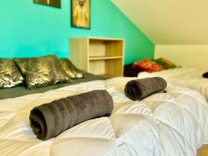 Maisons de vacances Les Rives du Parc Piscine 12 personnes : photos des chambres