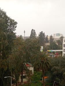 appartement splendid au centre ville