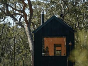 Secluded Forest Cabin with No Reception - Alon