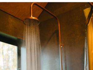 Secluded Forest Cabin with No Reception - Alon