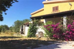 Holiday Home 1