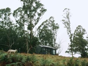Off-Grid Cabin Surrounded by Nature - Hot Tub - Arlo