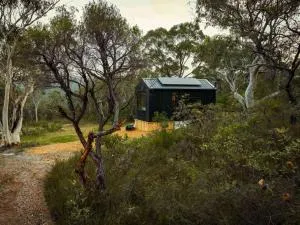 Remote Off-Grid Cabin Hidden in the Bush - Fern - Spencer