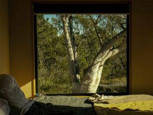 Remote Off-Grid Cabin Hidden in the Bush - Fern