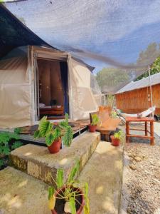JUSH NATIVE AND GLAMPING