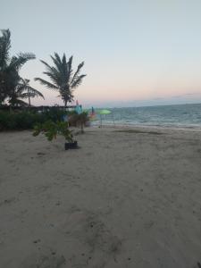 Casa Ilha de Itaparica