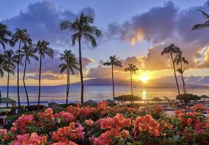 Beautiful ocean house, walk to MAGIC SAND BEACH